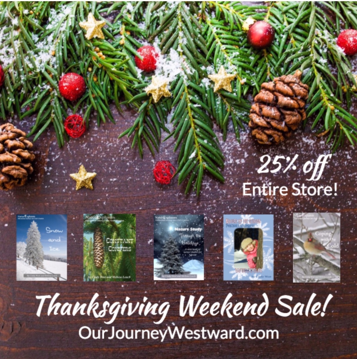 Thanksgiving Weekend Sale -25% off site wide